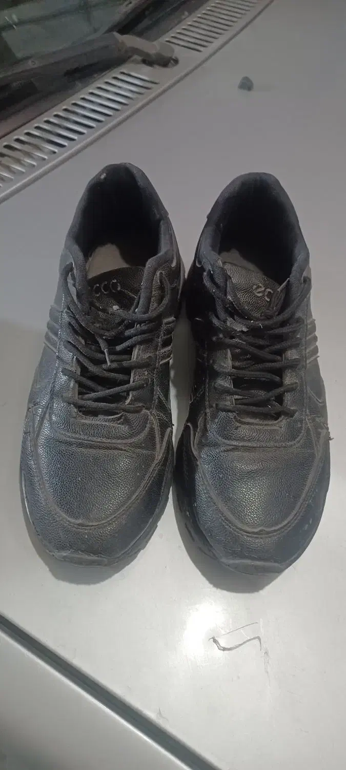 کفش کار|کیف، کفش، کمربند|مشهد, طبرسی شمالی|دیوار