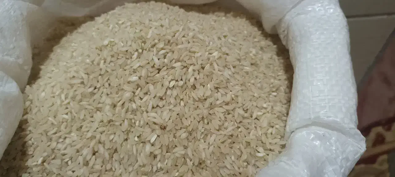 برنج عنبربو چمپا|خوردنی و آشامیدنی|اردکان, |دیوار