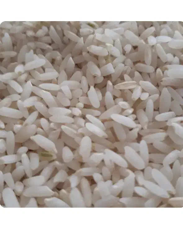 برنج چمپا دروهون|خوردنی و آشامیدنی|یاسوج, |دیوار