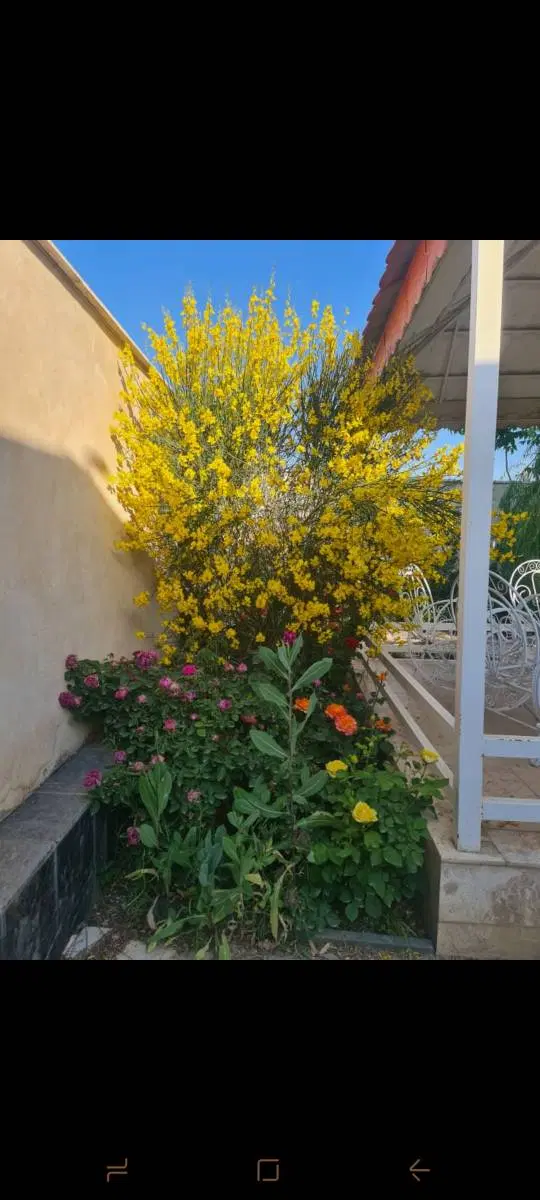 تصویر 3