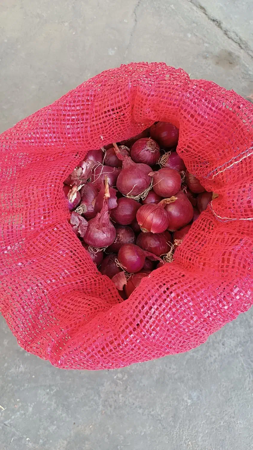 پیاز ریز کیلوی10هزار پیاز درشت کیلوی15هزار|خوردنی و آشامیدنی|شاهین دژ, |دیوار