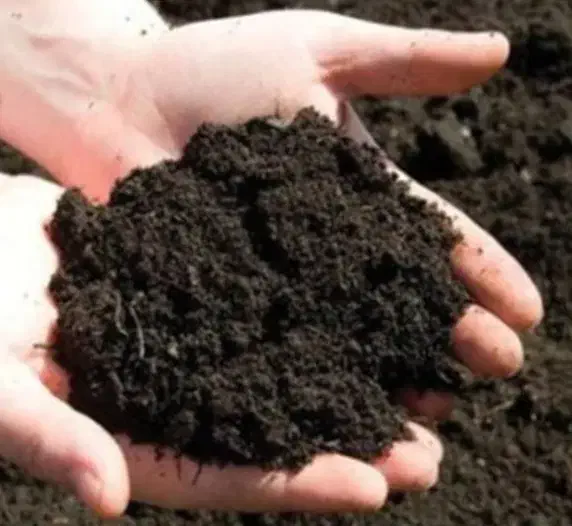 کود حیوانی|خدمات باغبانی و درختکاری|لاهیجان, بوجایه|دیوار