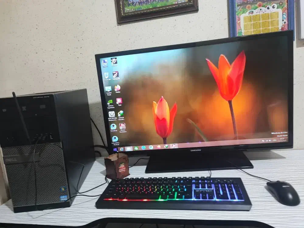 کامپیوتر با مانیتور بزرگ|رایانه رومیزی|بوشهر, |دیوار