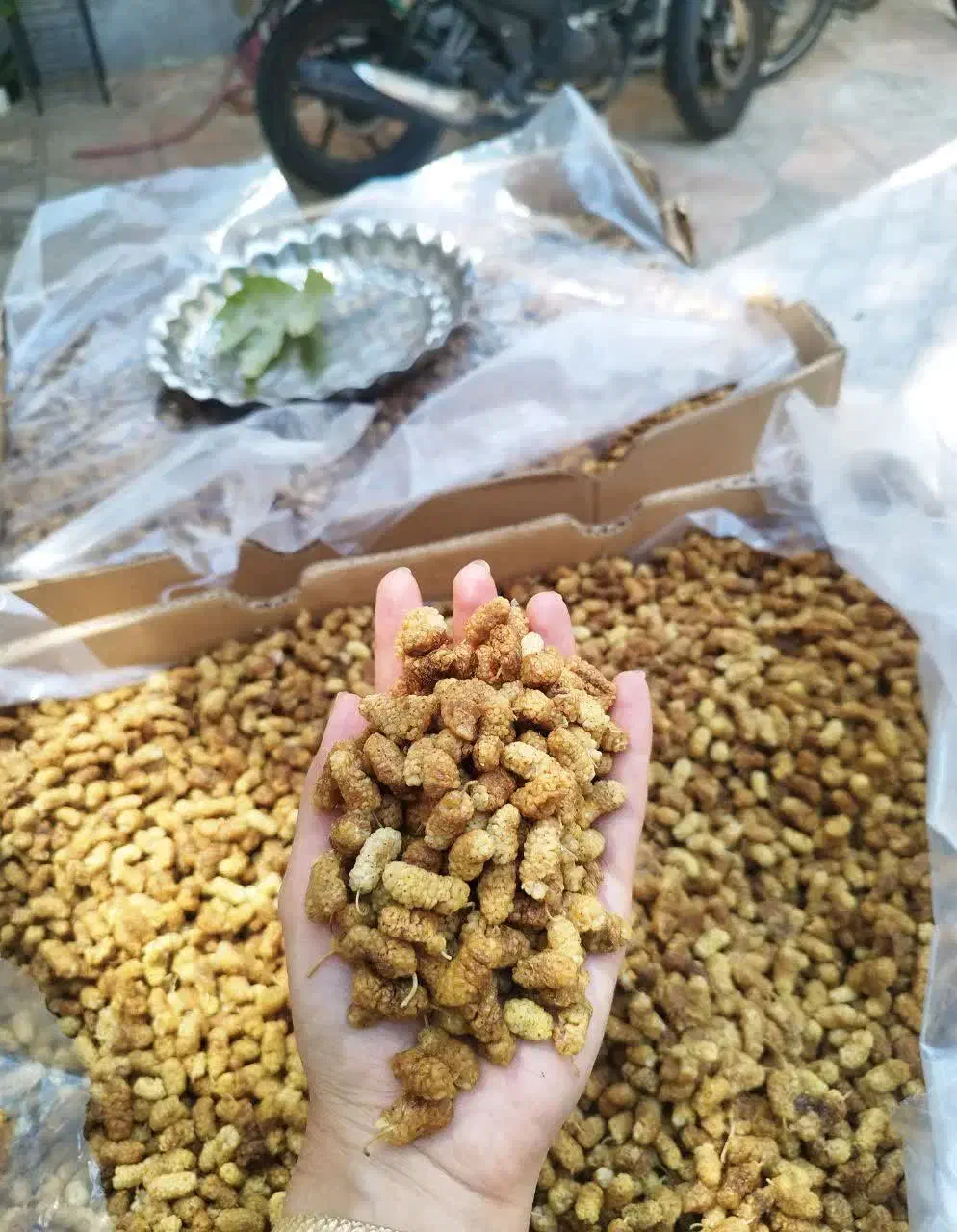 توت ،برگه زردآلو وآلو و لواشک خونگی وعسل ارگانیک|خوردنی و آشامیدنی|تهران, یافت آباد شمالی|دیوار