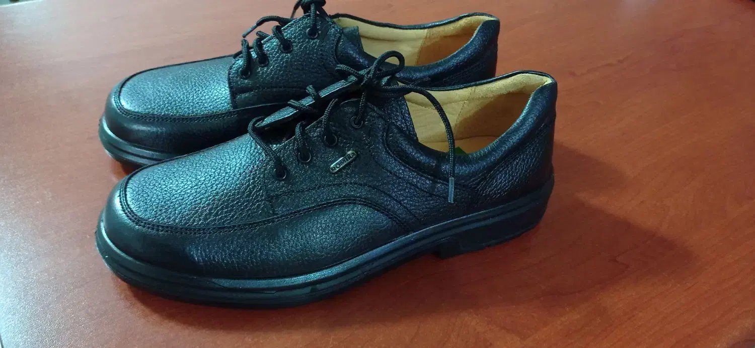 کفش رومیکا ملّی۴۲|کیف، کفش، کمربند|اشتهارد, |دیوار