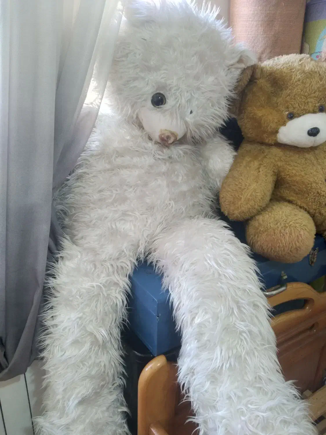 عروسک پشمی ۵۰۰هزار|اسباببازی|هشتگرد, شهرک ارم غربی|دیوار