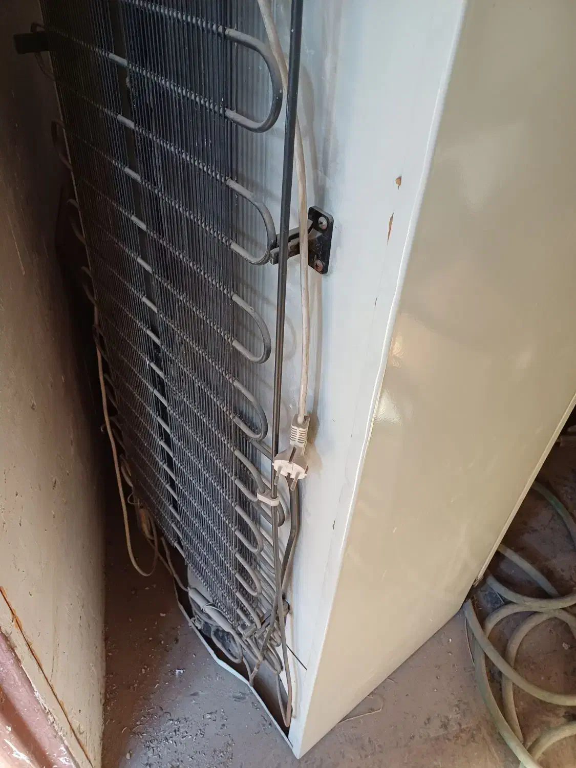 فریزر|یخچال و فریزر|یزد, |دیوار