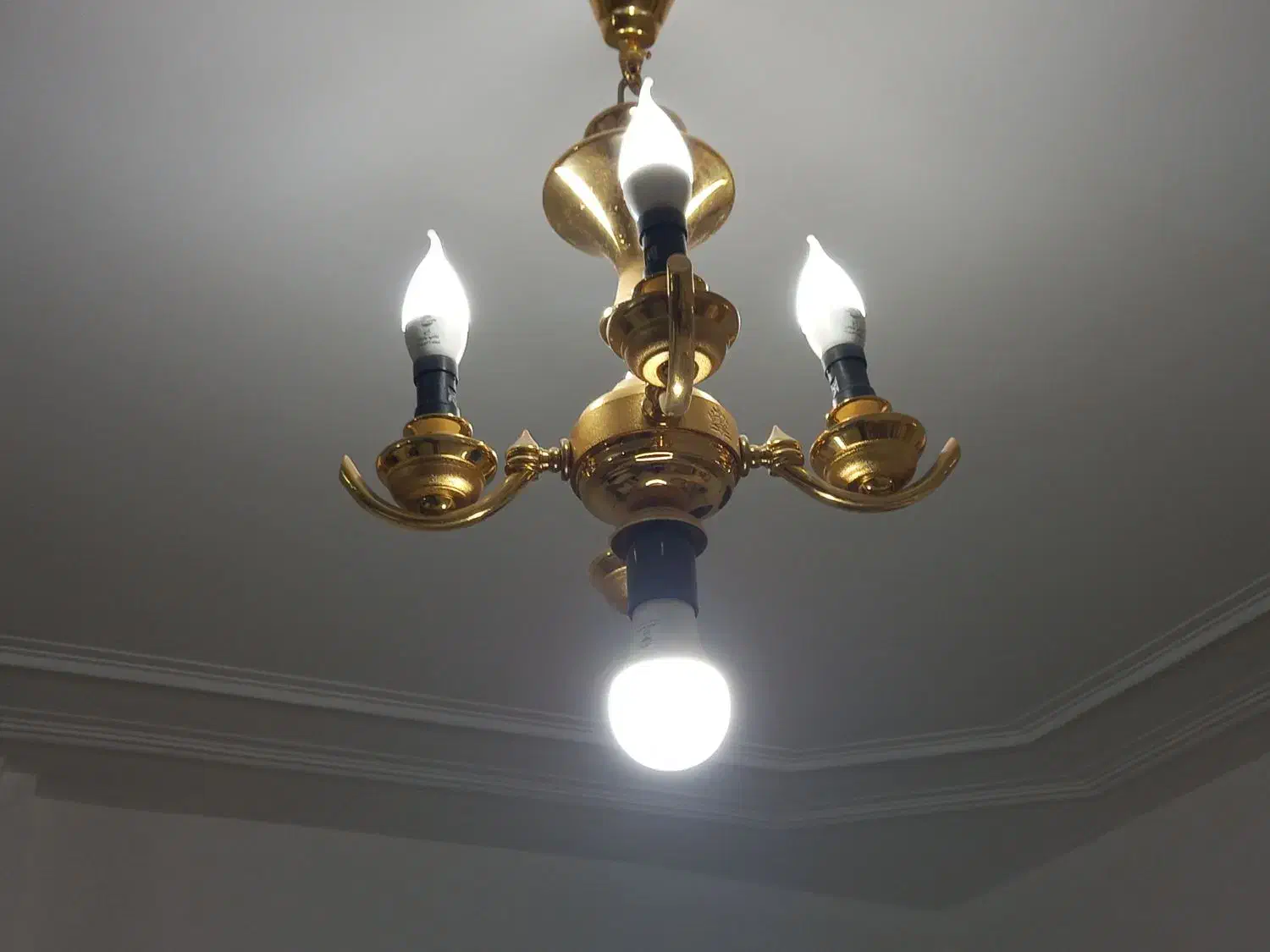 لوستر|لوستر و چراغ آویز|شیراز, اصلاح‌نژاد|دیوار