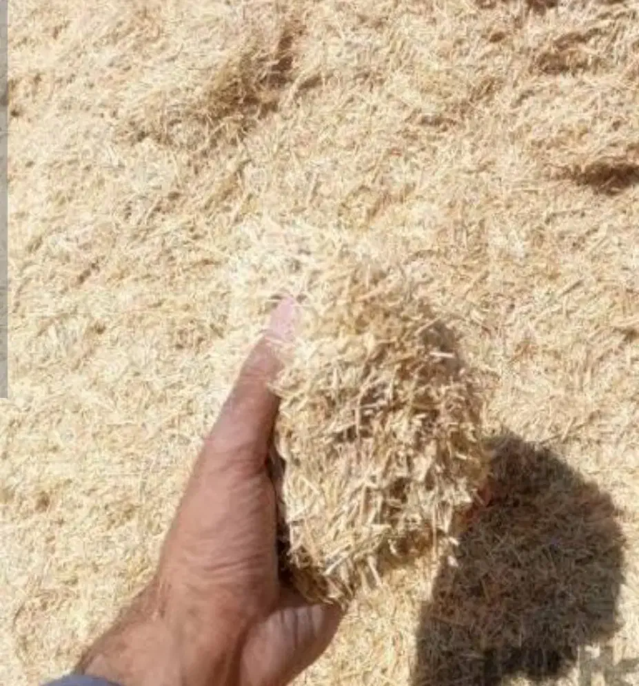 کاه درجه 1تحویل درب منزل یا گاوداری|لوازم جانبی حیوانات|بوشهر, |دیوار