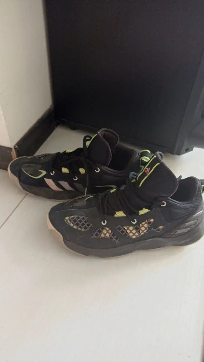 کفش خارجی کارکرده با اصالت|کیف، کفش، کمربند|بومهن, |دیوار