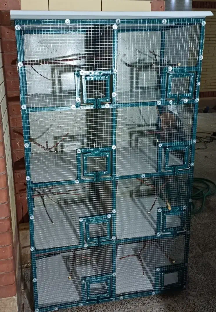 قفس آهنی نو مناسب انواع پرنده|لوازم جانبی حیوانات|سیرجان, |دیوار