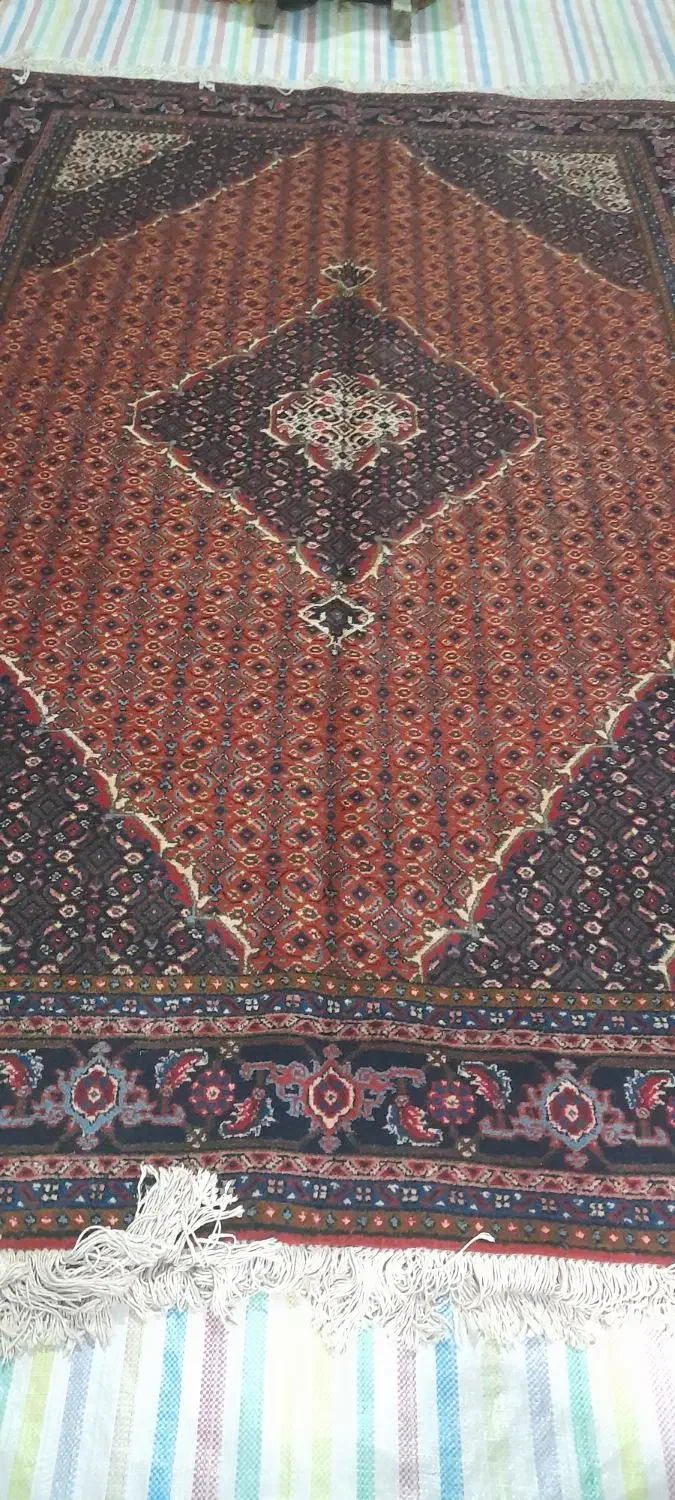 ۶متری کارکرده|فرش|اردبیل, |دیوار