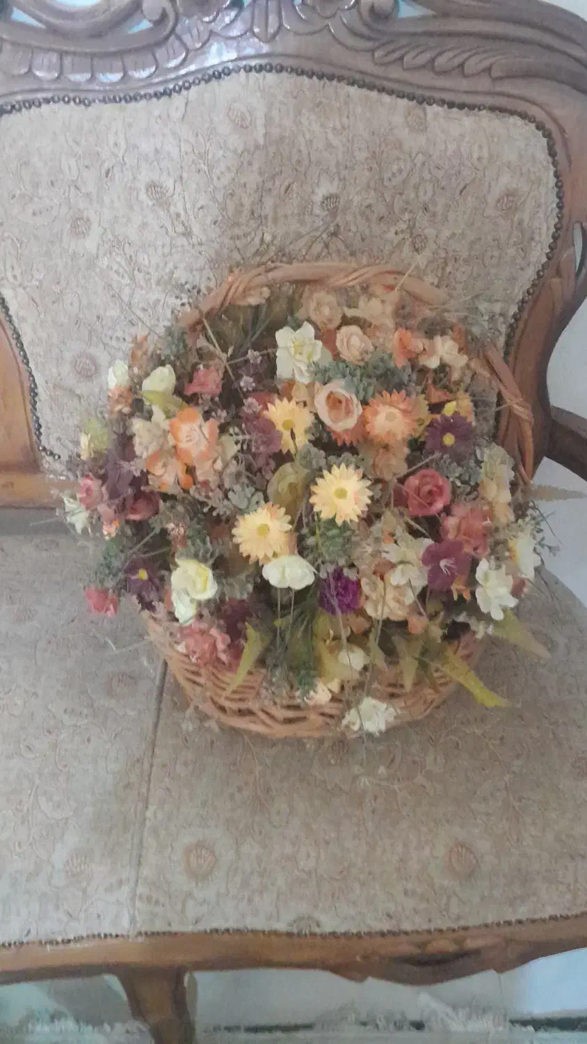 پلوپز وگل|سایر لوازم برقی|خوی, |دیوار