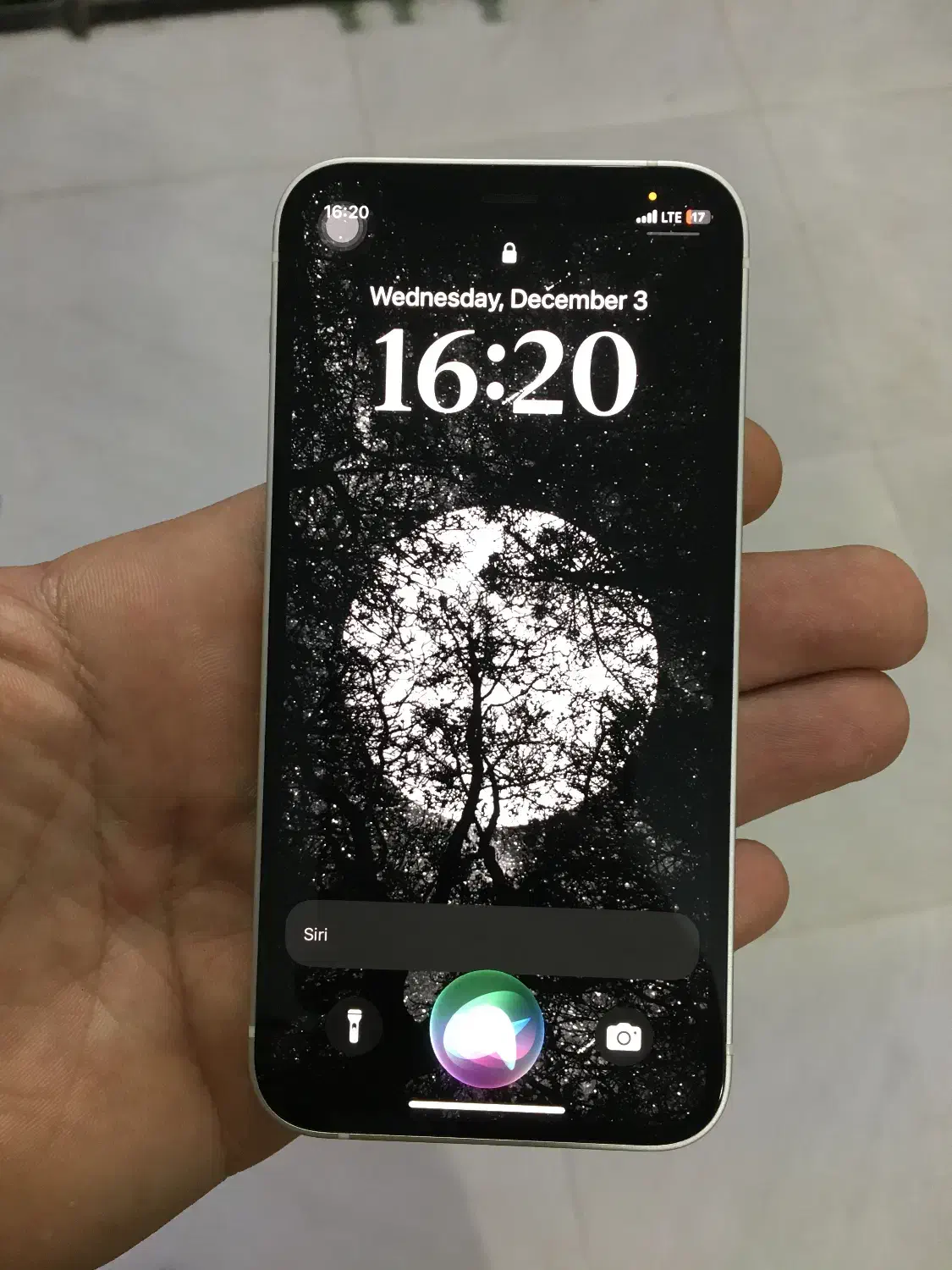 ایفون 12 مینی|موبایل|بجنورد, |دیوار