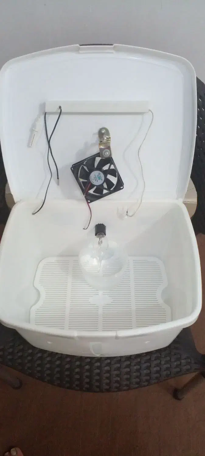 باکس جوجه کشی|لوازم جانبی حیوانات|پیرانشهر, |دیوار