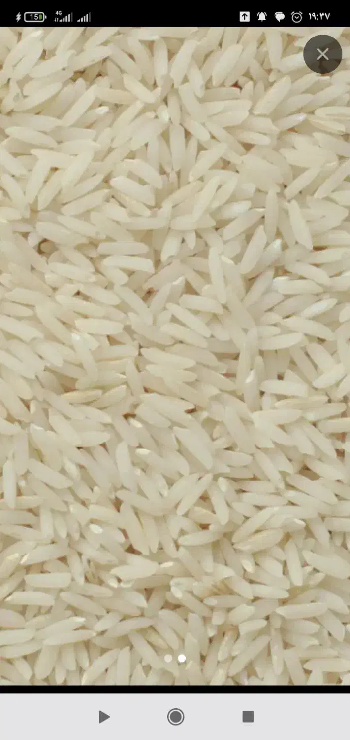 برنج هاشمی|خوردنی و آشامیدنی|کلاچای, |دیوار