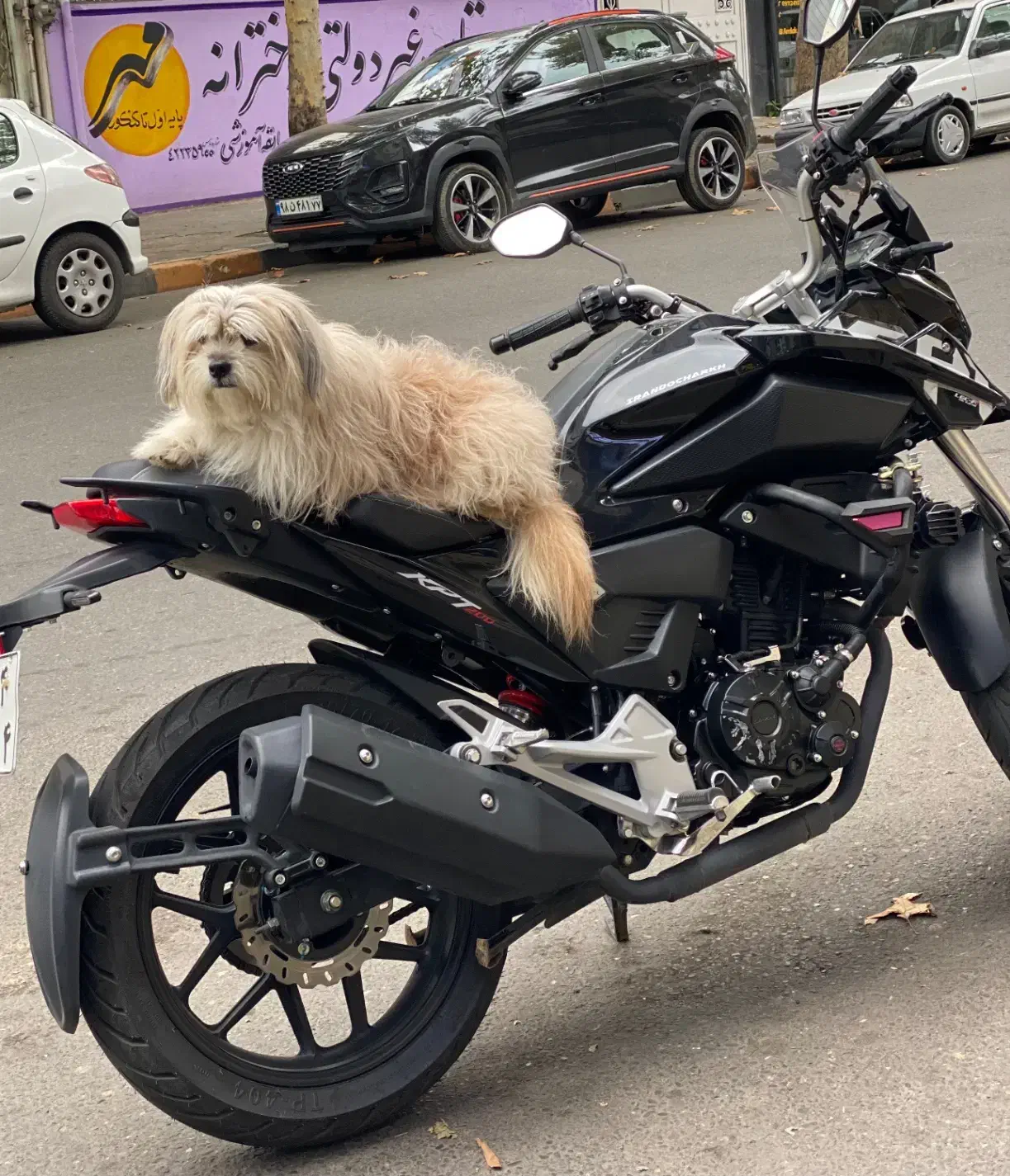 موتور kpt200|موتورسیکلت|لاهیجان, کوی استادان|دیوار