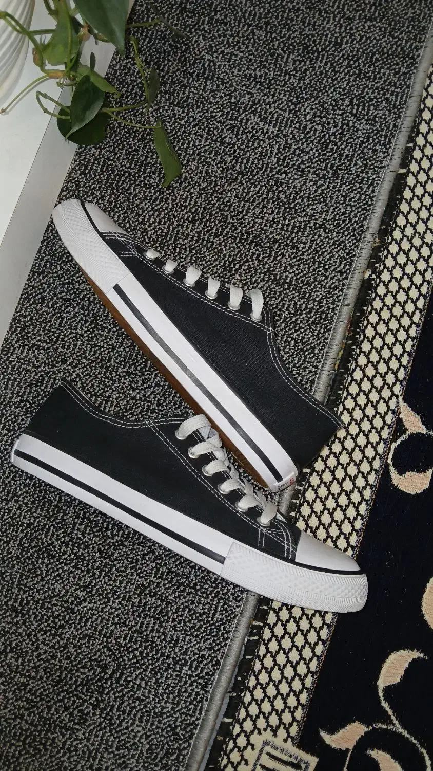 کتونی ال استار اورجینال|کیف، کفش، کمربند|قم, دروازه ری|دیوار