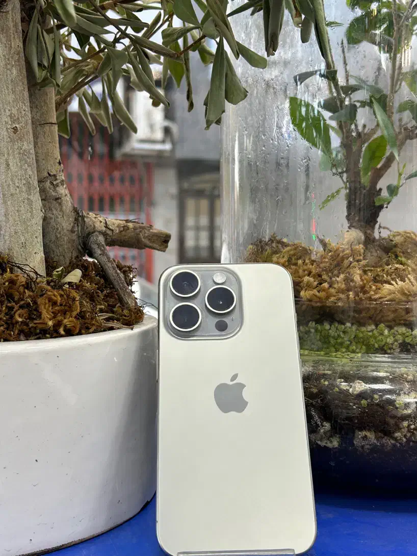 iphone 15 pro|موبایل|قم, چهل درخت‎|دیوار