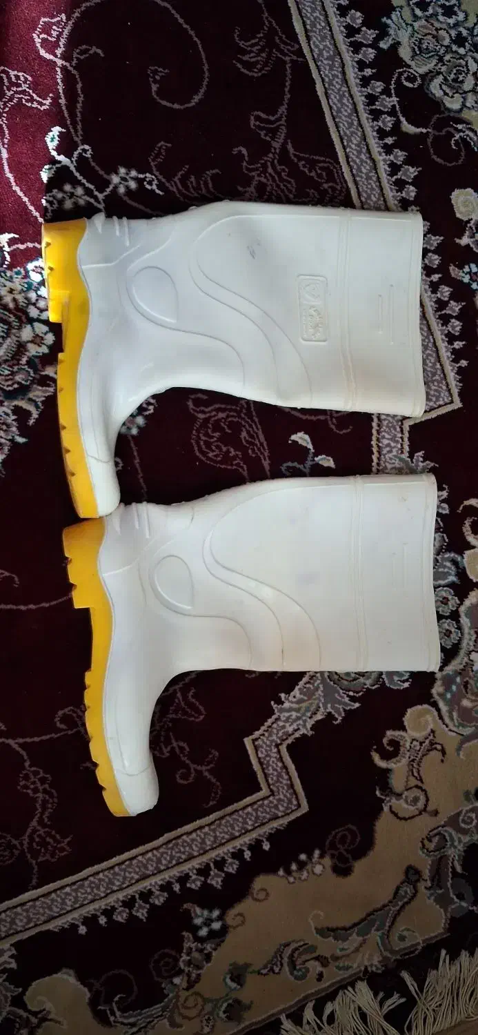 چکمه|کیف، کفش، کمربند|اصفهان, خانه اصفهان|دیوار