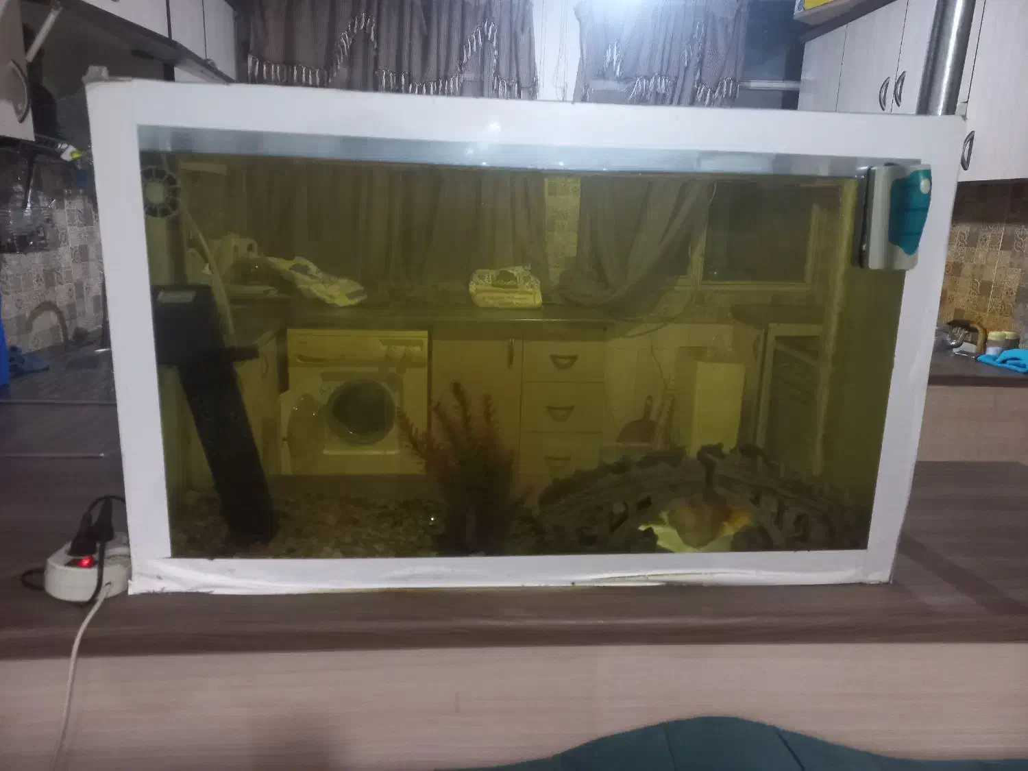 آکواریوم سالم|ماهی|بومهن, |دیوار