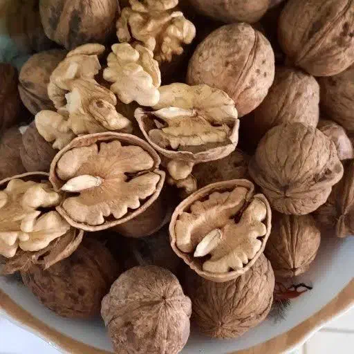 گردو‌ بوانات درجه یک|عمده‌فروشی|شیراز, فرگاز|دیوار
