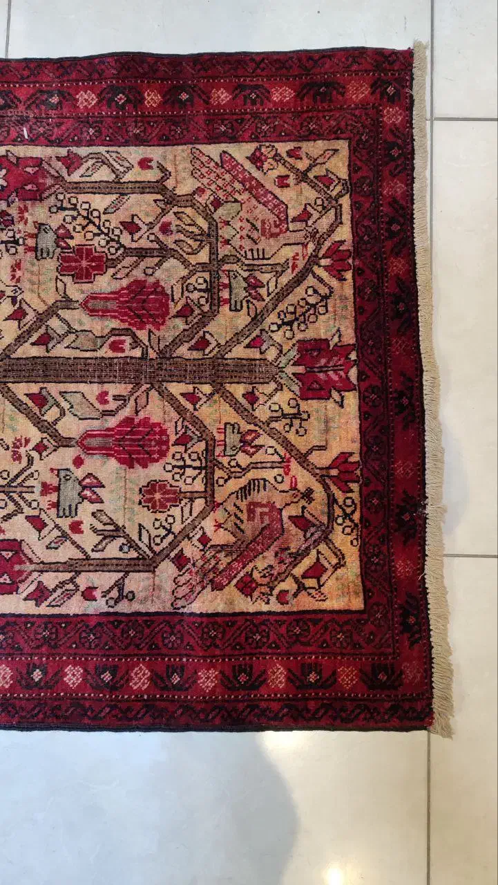 کناره|فرش|کرج, حاجی آباد|دیوار