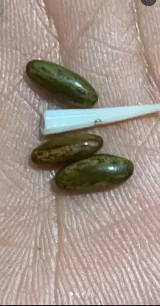 مهره|کلکسیون اشیاء عتیقه|چابهار, |دیوار