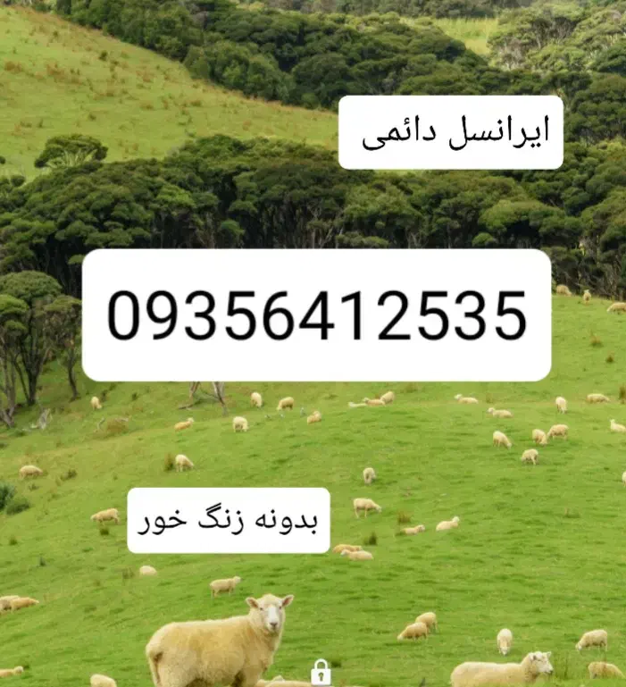 سیم کارت ایرانسل قدیمی دائمی .|سیم‌کارت|اردبیل, |دیوار