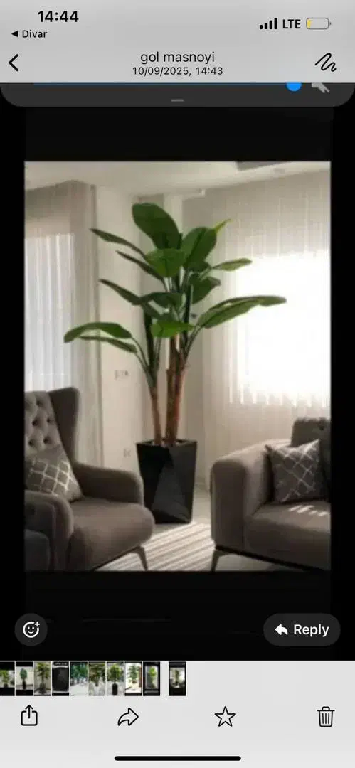 درخ جه|گل مصنوعی|تهران, مشیریه|دیوار