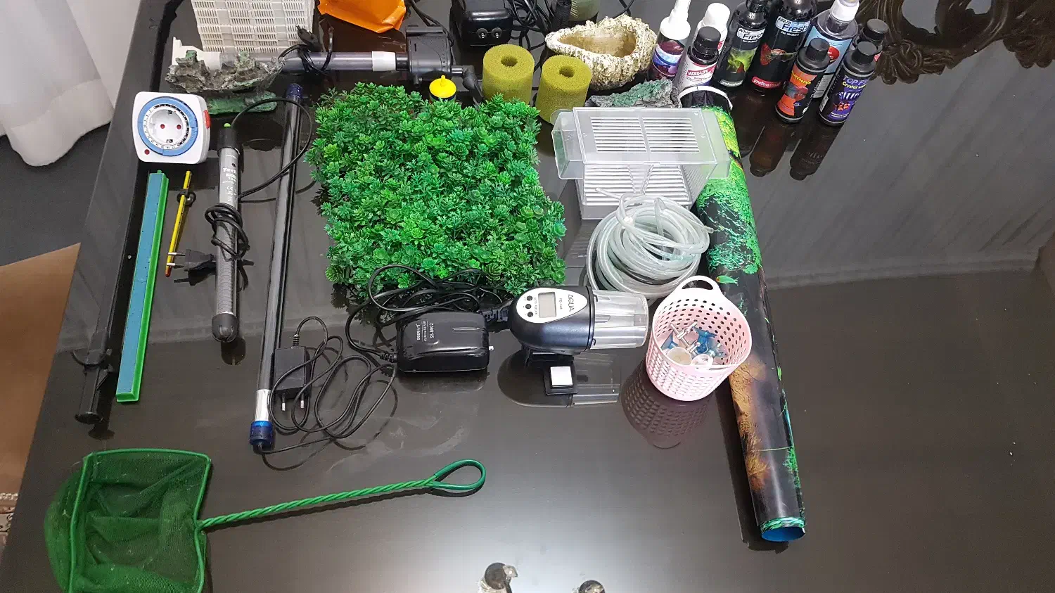 آکواریوم|ماهی|پرند, فاز ۶|دیوار