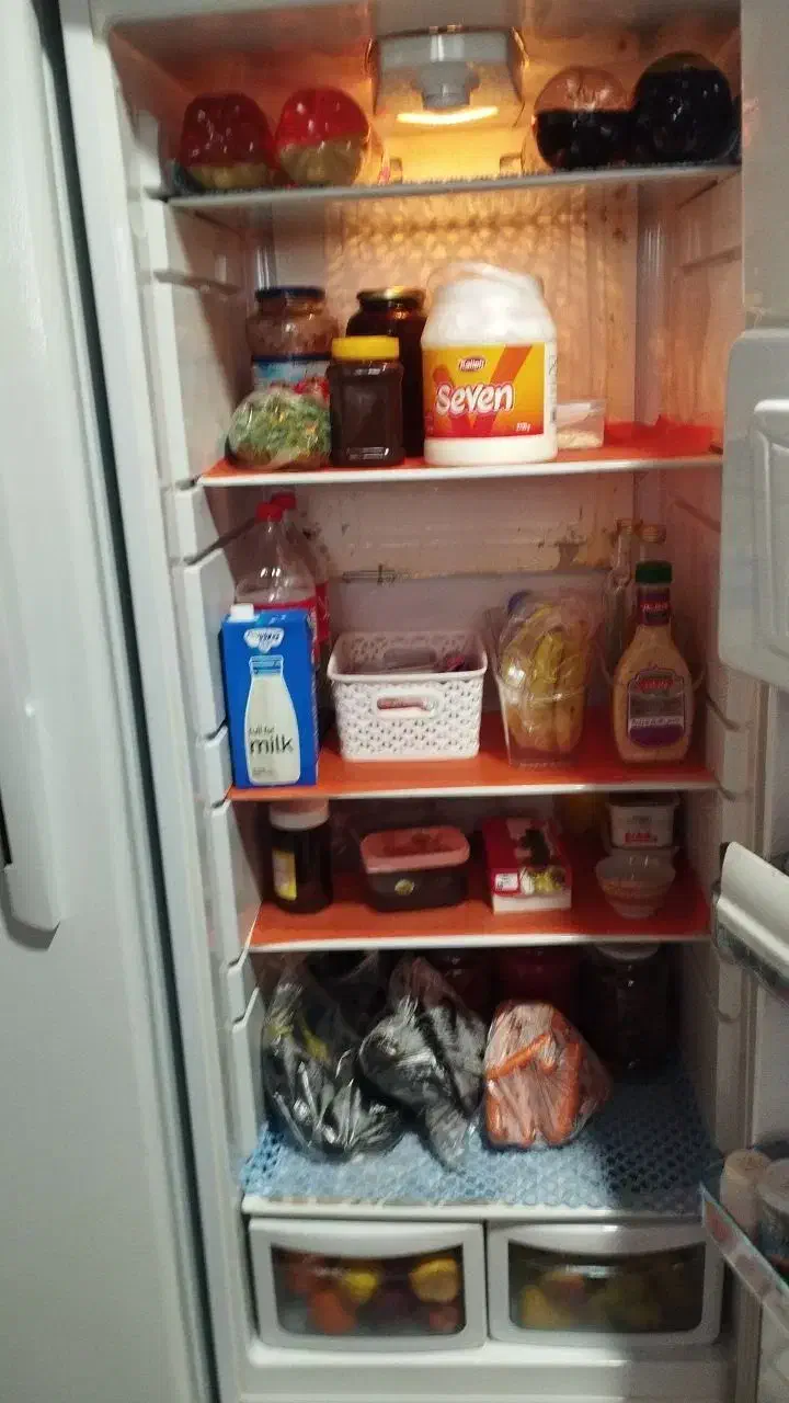 یخجال دوقلو سوزان|یخچال و فریزر|ترکمانچای, |دیوار