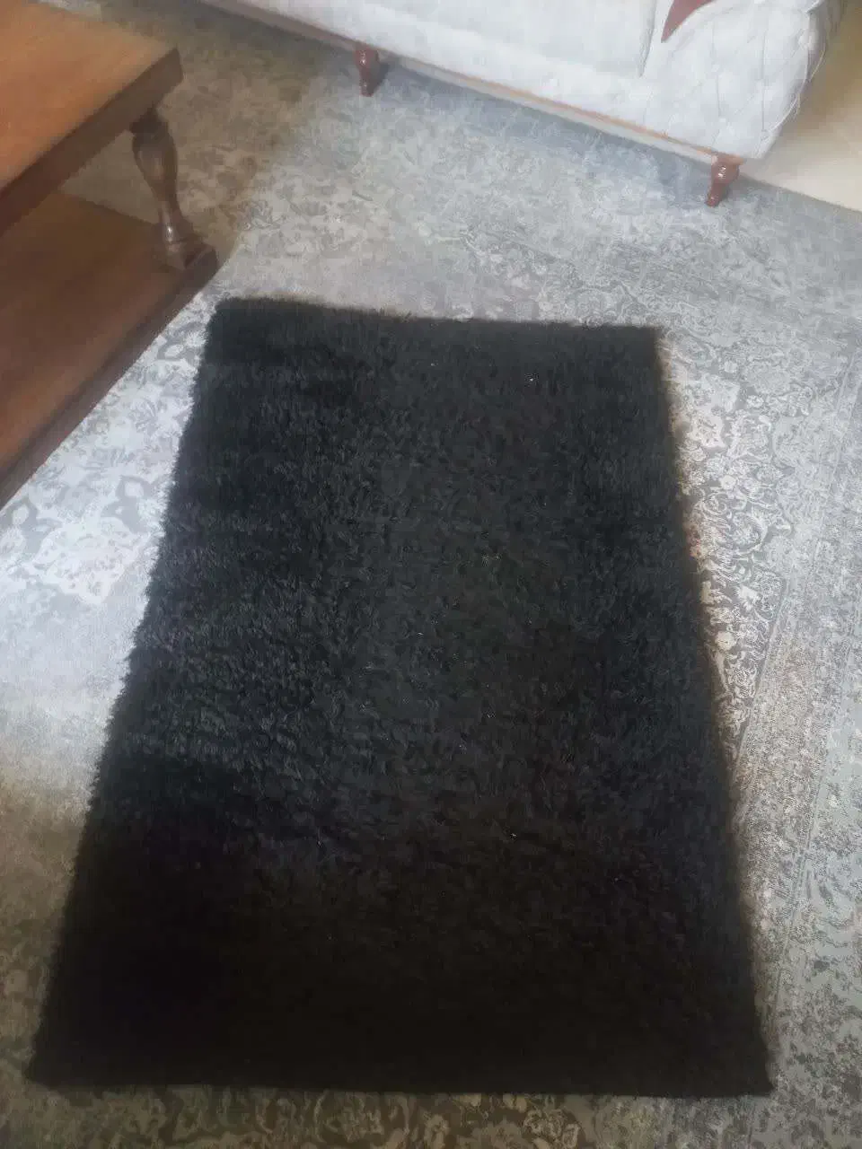 فرش تدی|فرش|مشهد, بهارستان|دیوار