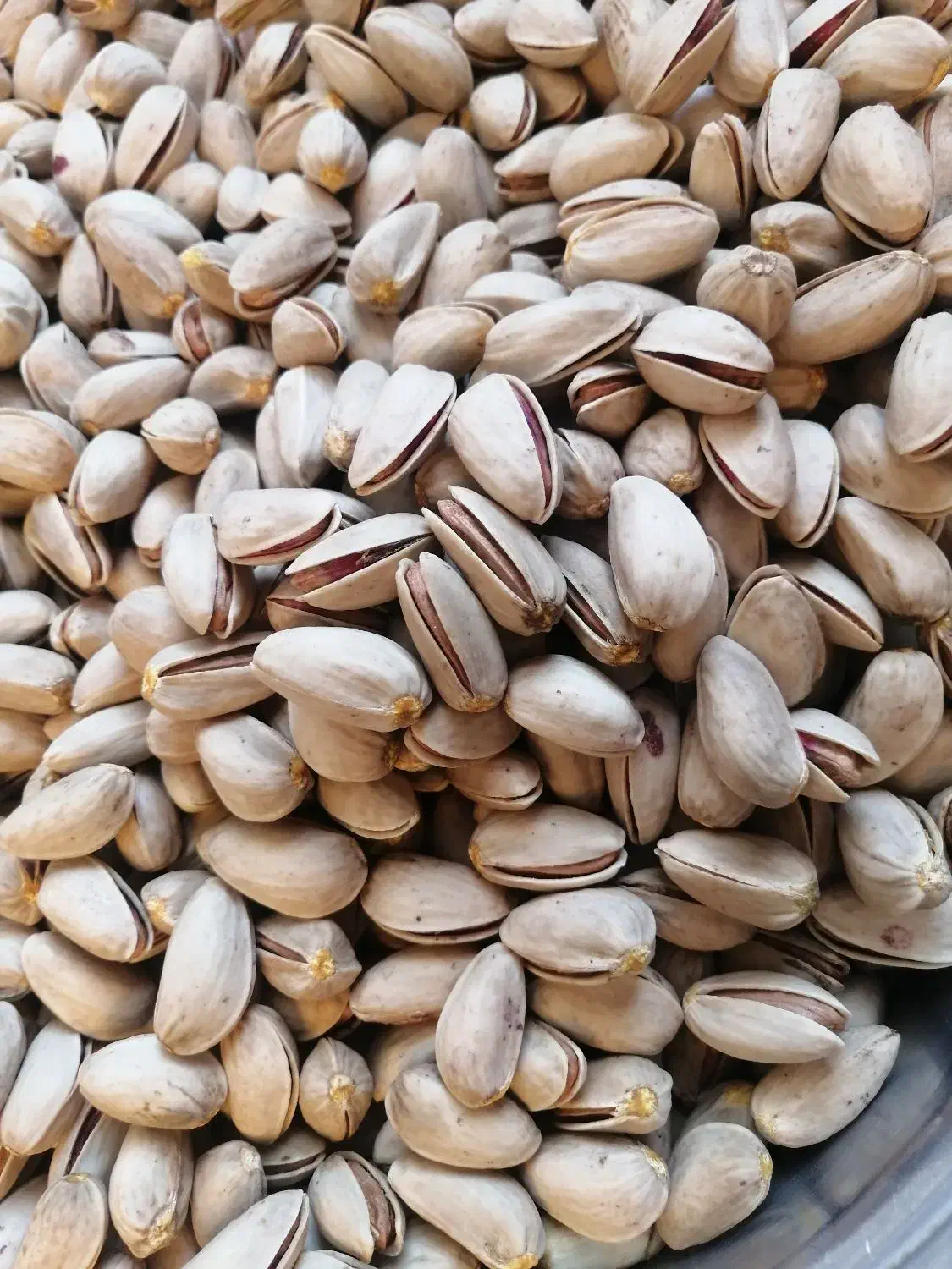 پسته|خوردنی و آشامیدنی|آباده, |دیوار