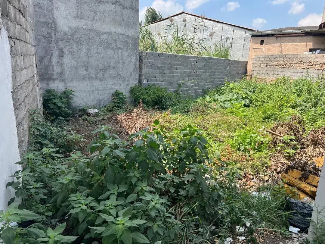 زمین فروشی۱۱۴ متر|فروش زمین و ملک کلنگی|قائم‌شهر, |دیوار