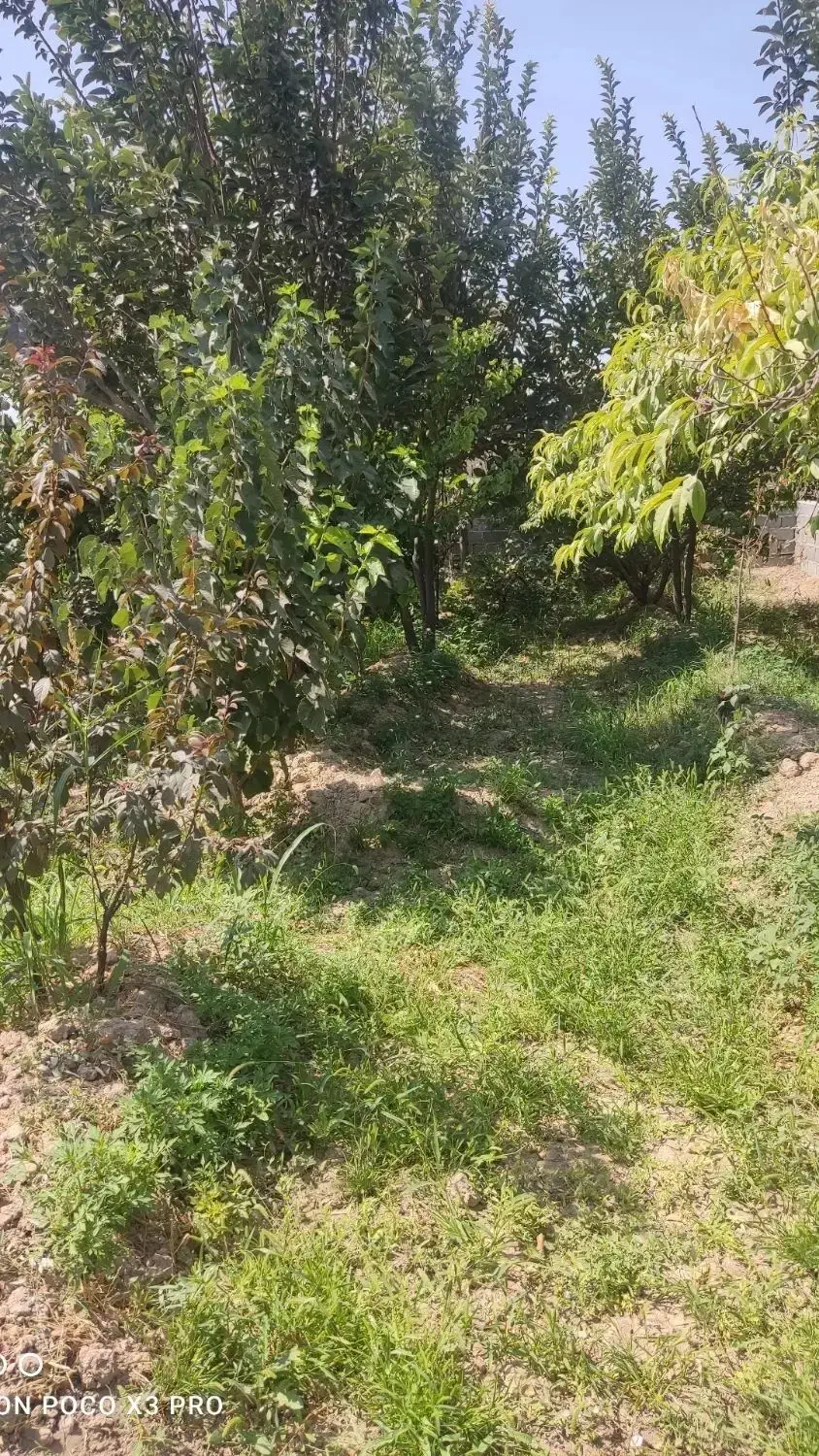 زمین باغ|فروش زمین و ملک کلنگی|رباط‌کریم, کاظم‌آباد|دیوار