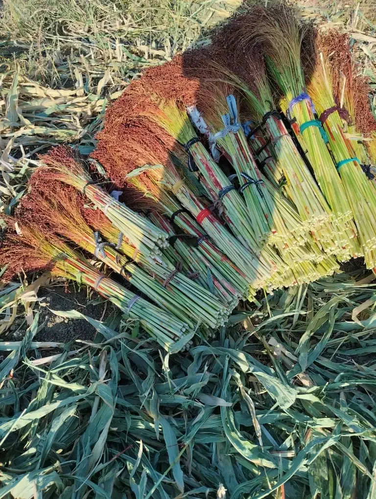 جارو درجه یک|جاروبرقی، جارو شارژی، بخارشو|کامیاران, |دیوار