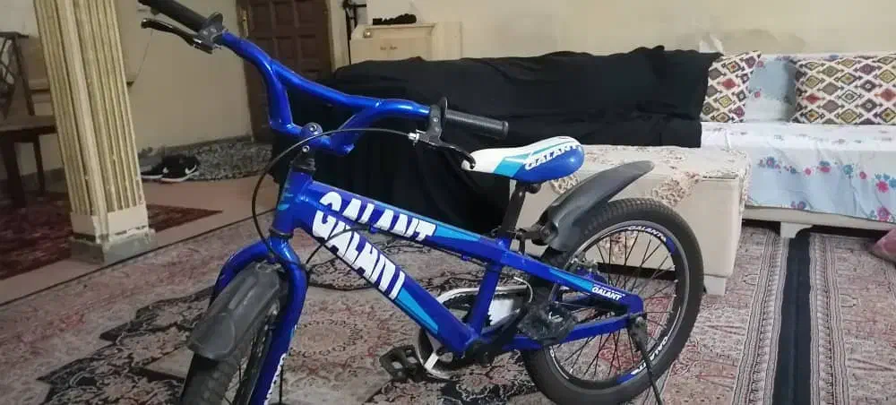 دوچرخه بیست گالانت در حد نو کار نکرده|دوچرخه، اسکیت، اسکوتر|فردیس, نسترن غربی|دیوار