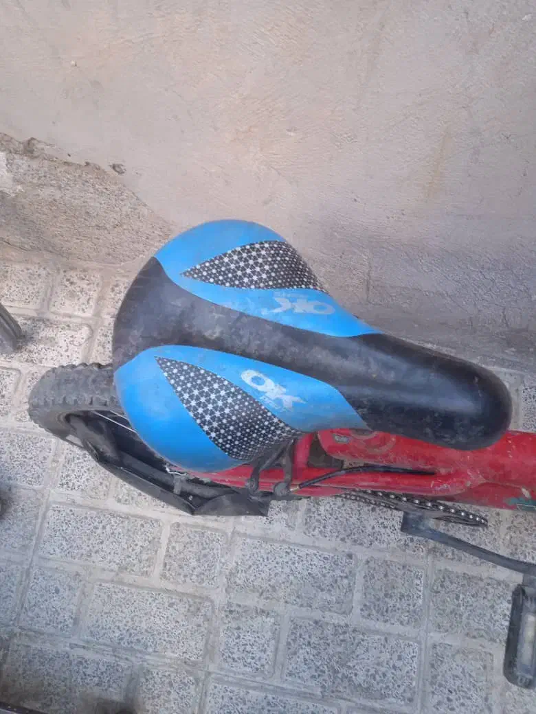 دوعدد دوچرخه|دوچرخه، اسکیت، اسکوتر|سنندج, |دیوار