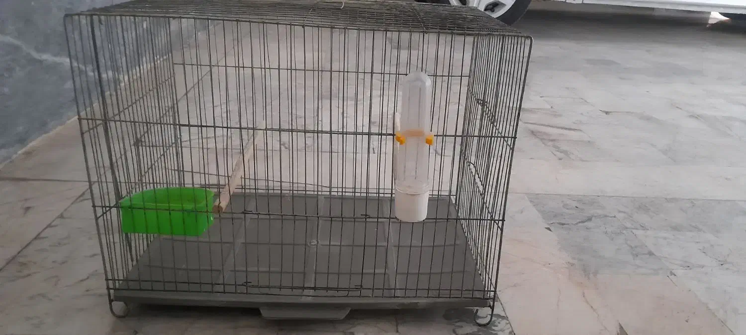 قفس پرنده|لوازم جانبی حیوانات|فردیس, فردیس|دیوار