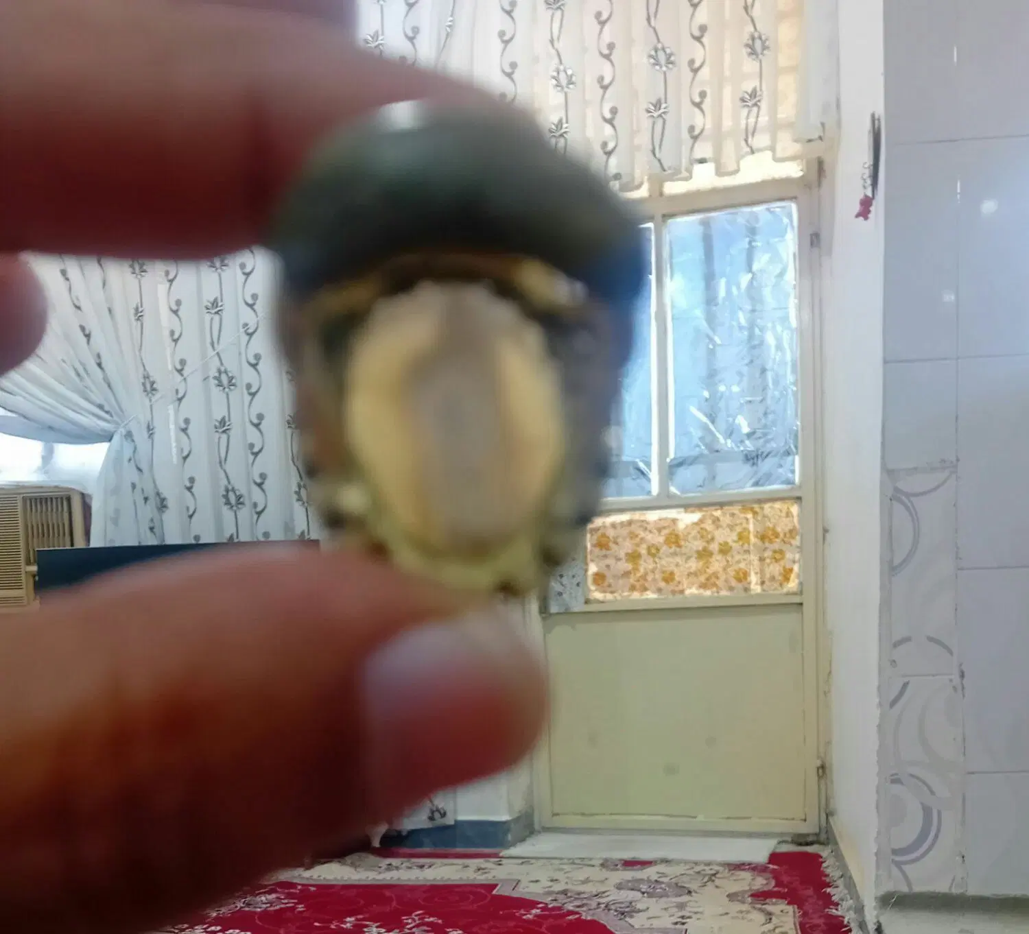 انگشتر عقیق سلیمانی بینظیر مصور|جواهرات|کرج, چمران|دیوار