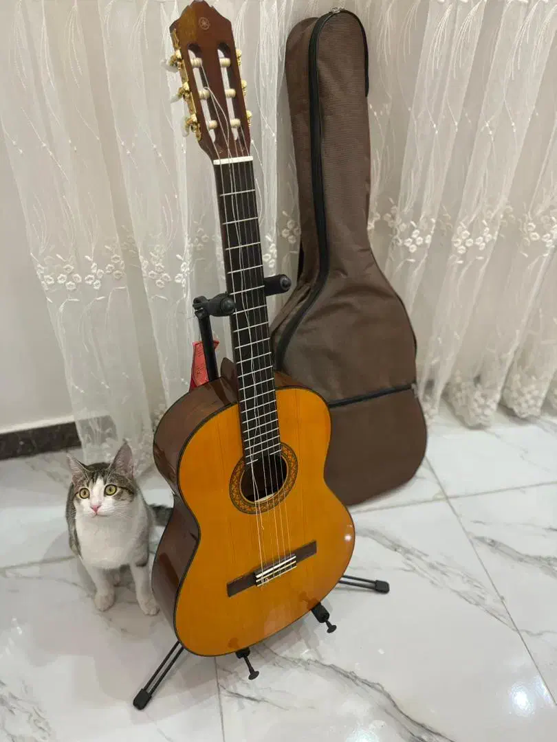 گیتار یاماها مدلc70|گیتار، بیس، امپلیفایر|رشت, استقامت ۱|دیوار