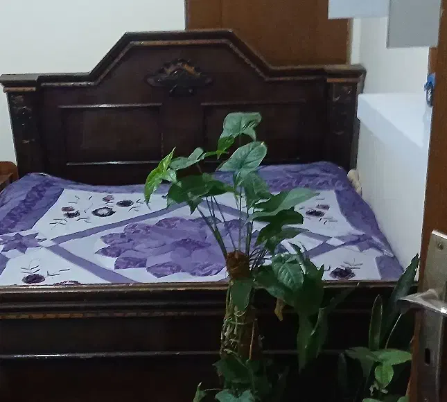 تخت سلطنتی|تخت و سرویس خواب|گلبهار, شهر جدید گلبهار|دیوار