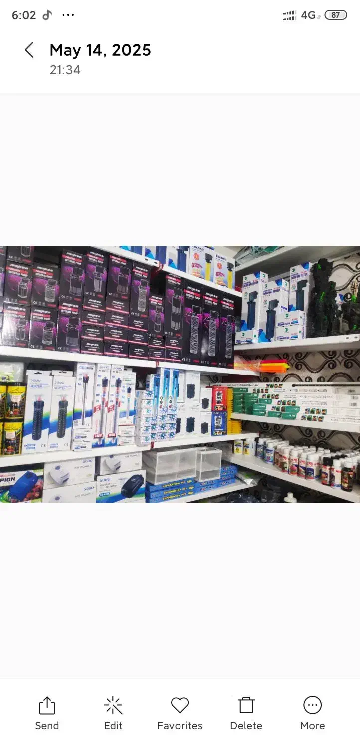 آکواریوم دلفین|ماهی|چابهار, |دیوار