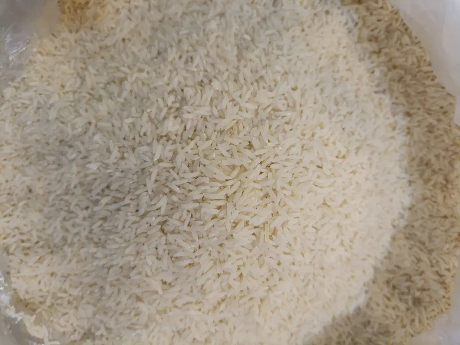 فروش برنج طارم هاشمی ممتاز کشت برتر استان مازندران|خوردنی و آشامیدنی|بروجن, |دیوار