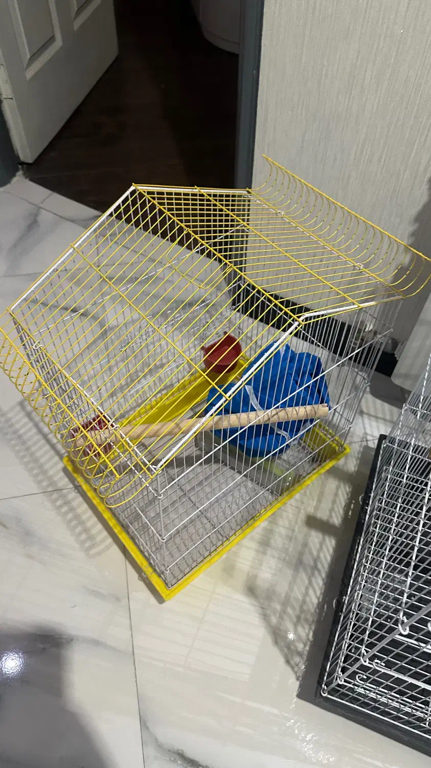 قفس‌پرنده|لوازم جانبی حیوانات|شاهین‌شهر, فردوسی|دیوار
