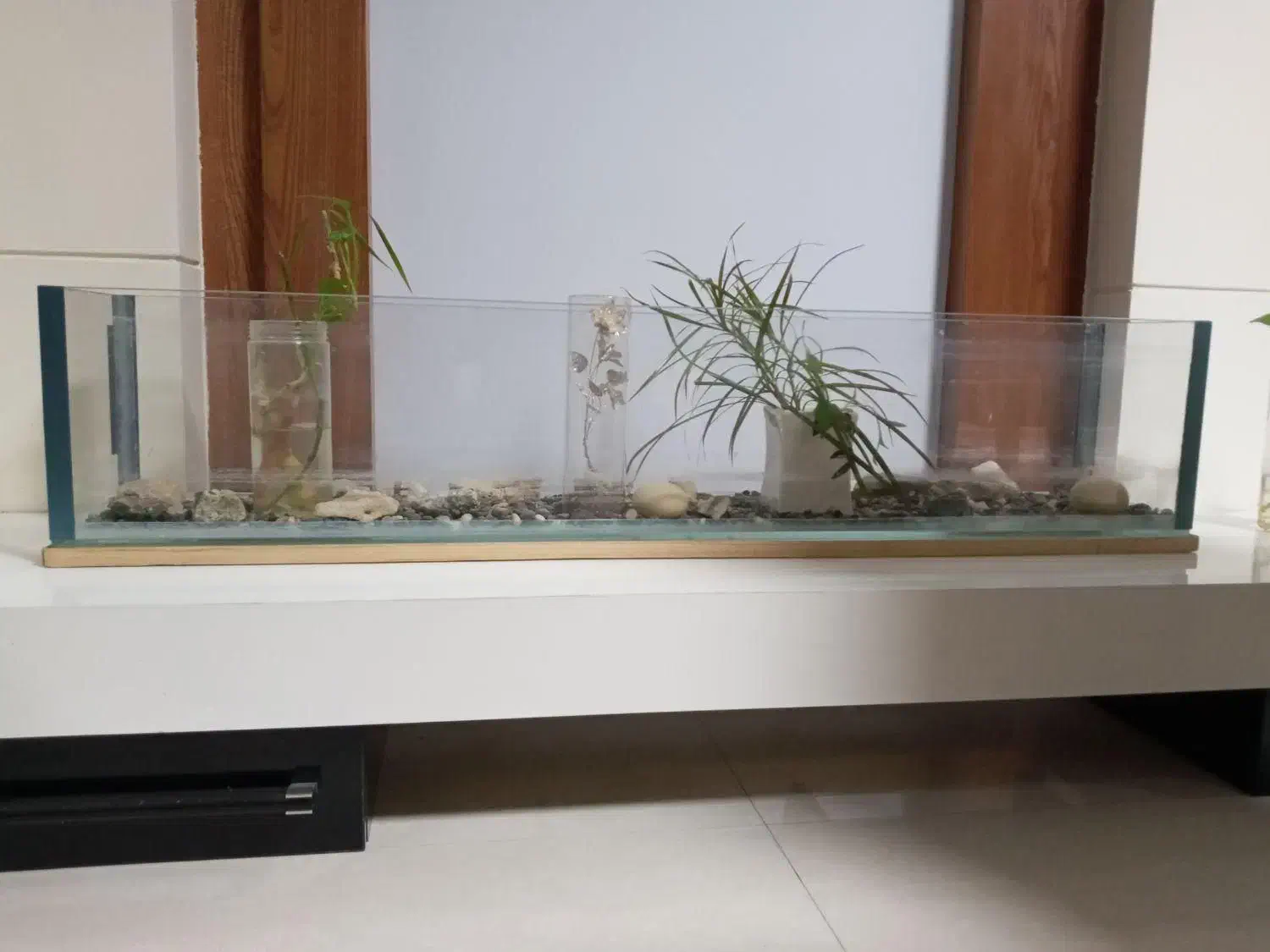 آکواریوم|ماهیگیری|مشهد, فلسطین|دیوار