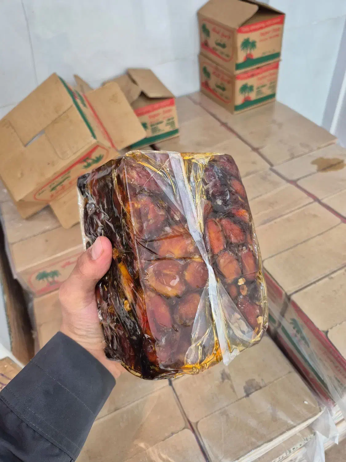 خرما کبکاب خشت|خوردنی و آشامیدنی|قم, شهرک سازمان آب|دیوار