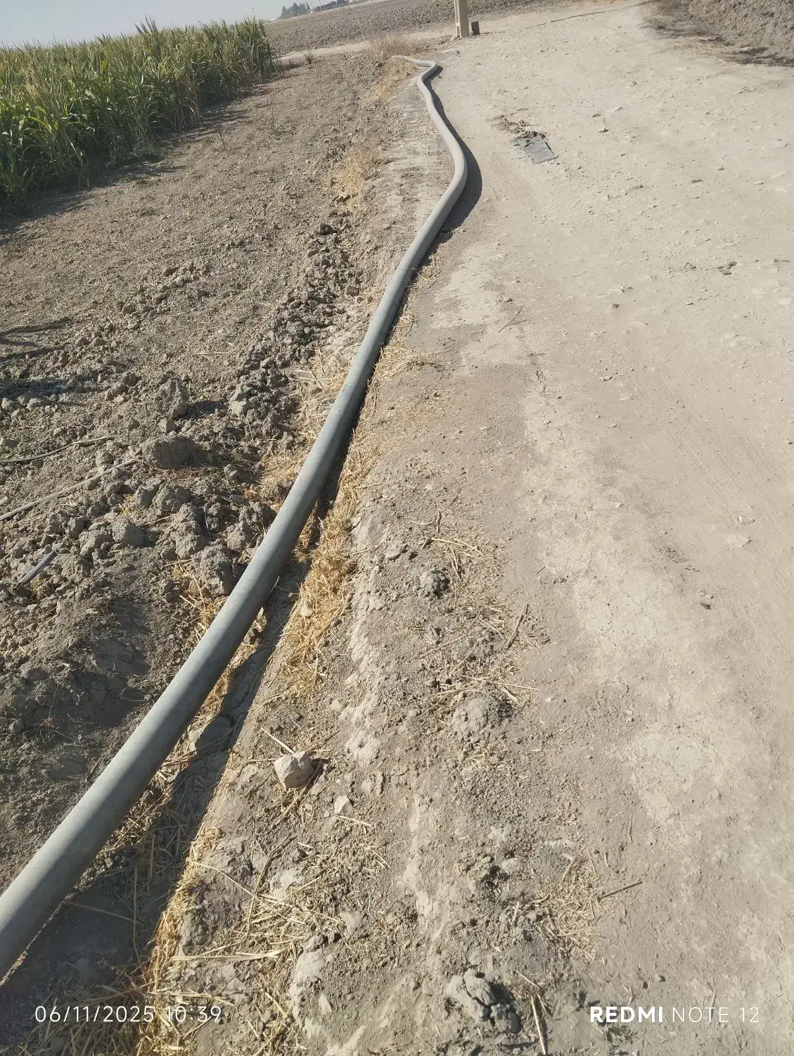 پانصد متر ل. لوله دست دوم|خدمات باغبانی و درختکاری|مرودشت, نقش رستم|دیوار