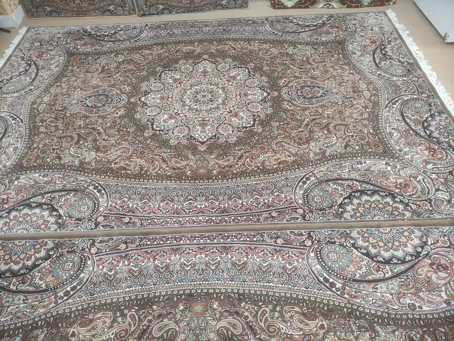 فرش 6متری کاملا سالم در حد نو|فرش|تهران, هاشمی|دیوار